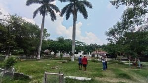 Protección Civil evalúa zonas de riesgo por árboles que afectan líneas eléctricas en Tlacolula