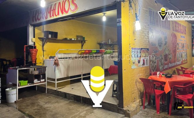 photo_5166066000724691913_y