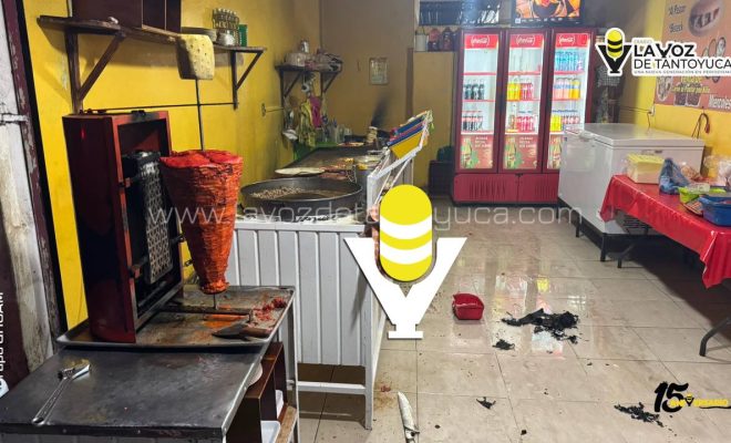 photo_5166066000724691915_y