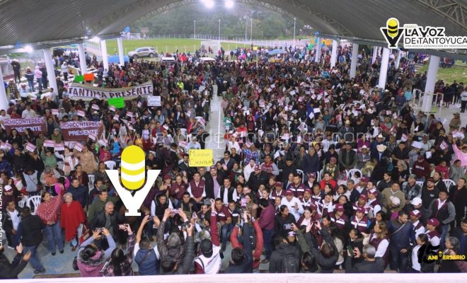 photo_5166066000724691965_y