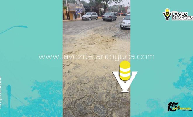 photo_5168214704143403960_y