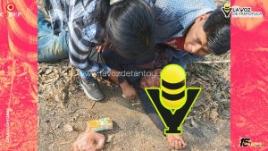Motociclista resulta gravemente lesionado tras derrapar y chocar contra un árbol en Ixcatepec