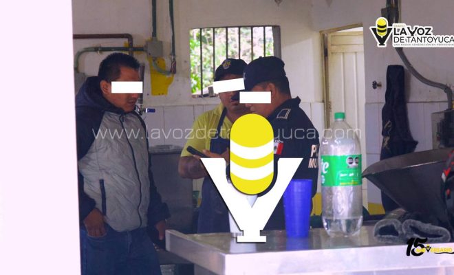 photo_5170304098358725565_y