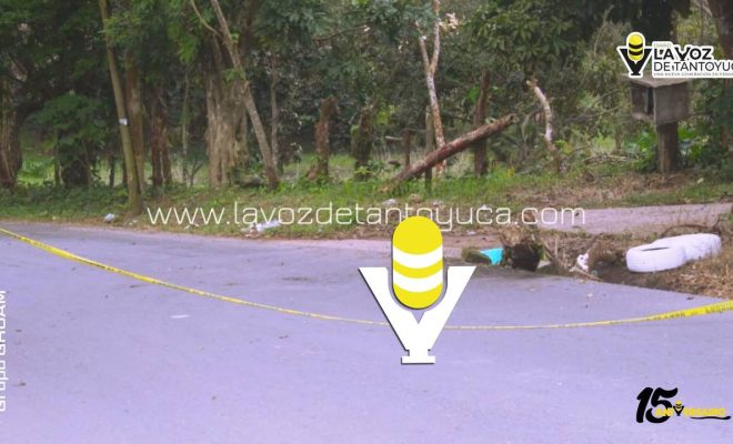 photo_5170375278851722091_y