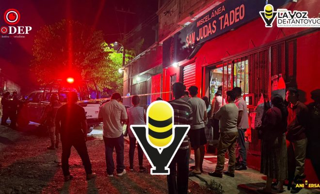 photo_5175136542157114475_w photo_5175136542157114475_w