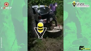 Denuncian presunto maltrato animal contra “Pintita” en Huejutla