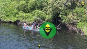 Muere niño tras caer a un estero habitado por cocodrilos 