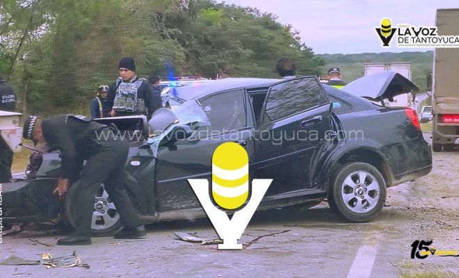 photo_5177156074434399175_y