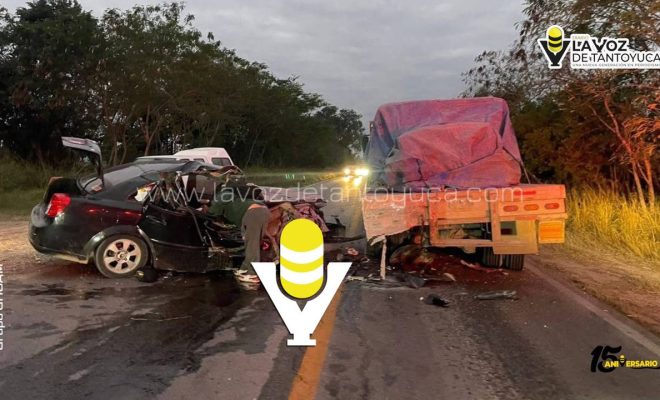 photo_5177156074434399177_y