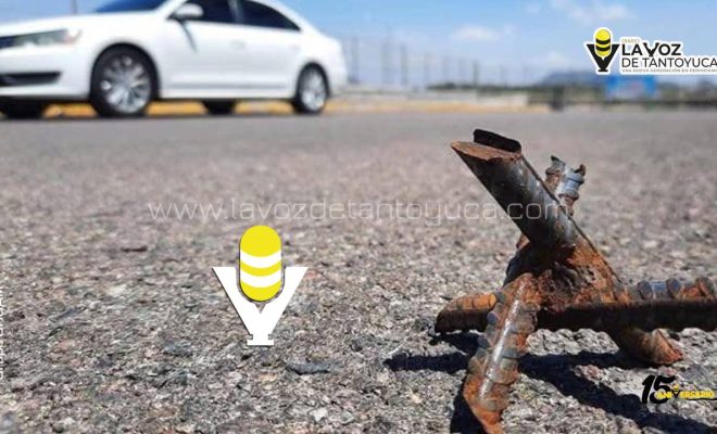 photo_5177156074434399203_y