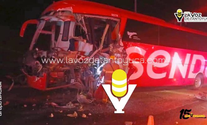 photo_5181648880808954758_y