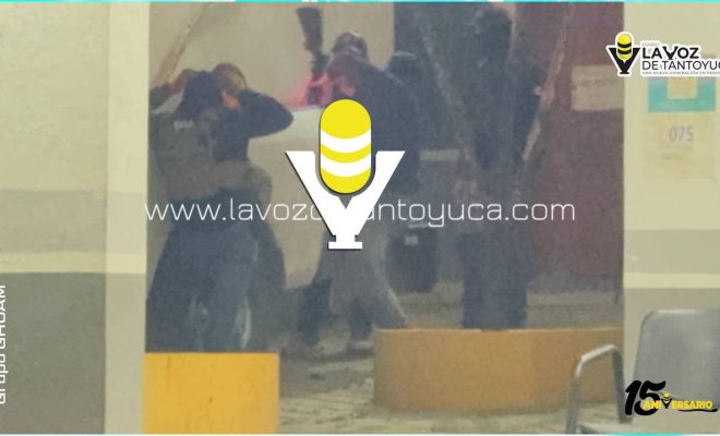 photo_5181648880808954832_y