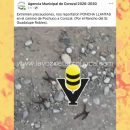 Arrojan “ponchallantas” en camino vecinal a Corozal, en Tempoal