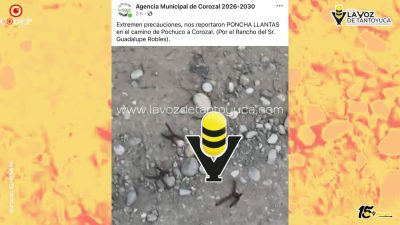 Arrojan “ponchallantas” en camino vecinal a Corozal, en Tempoal
