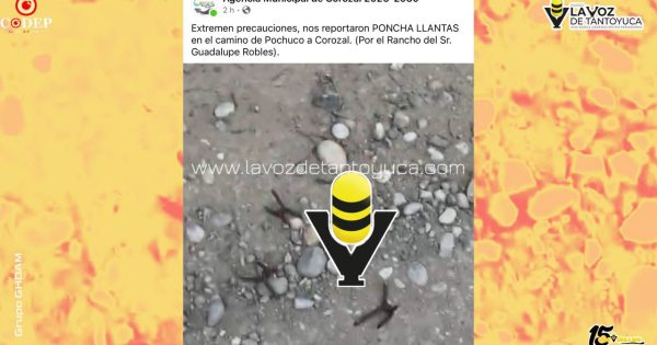 Arrojan “ponchallantas” en camino vecinal a Corozal, en Tempoal