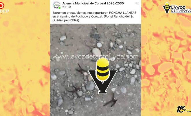 Arrojan “ponchallantas” en camino vecinal a Corozal, en Tempoal