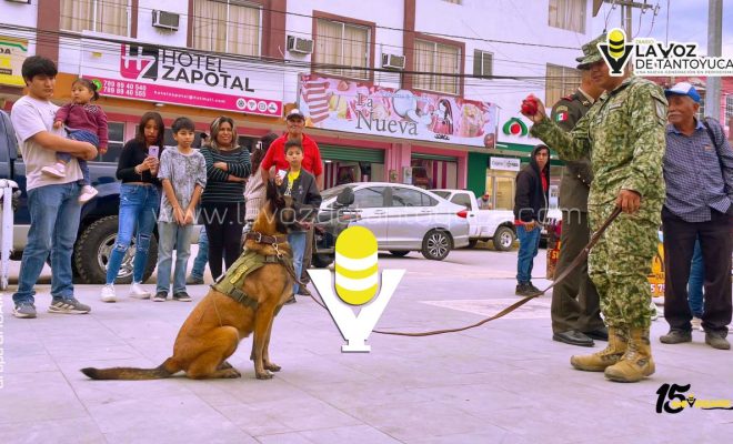 photo_5184136375542942561_y