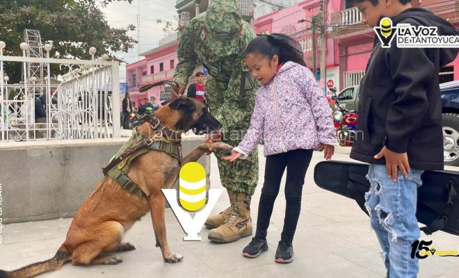 photo_5184136375542942564_y