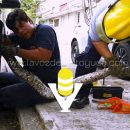 ¡Tremendo culebrón! Rescatan boa de entre las llantas de un vehículo