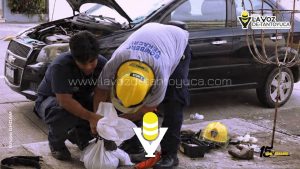 ¡Tremendo culebrón! Rescatan boa de entre las llantas de un vehículo 