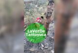 Motociclista choca y cae a un barranco